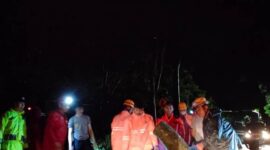 Dua Pohon ukuran besar tumbang di dua kecamatan wilayah Kabupaten Magetan, Jawa Timur. (Dok Fin)

