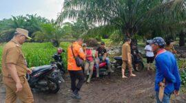 Seorang Warga Pesisir Selatan Hilang di Sungai Saat Mencari Sayur Diduga Diseret Buaya. (Dok TVRI News)

